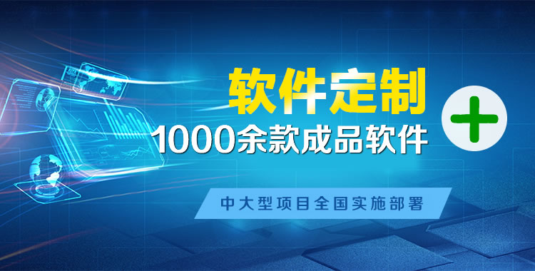 洛扎软件开发